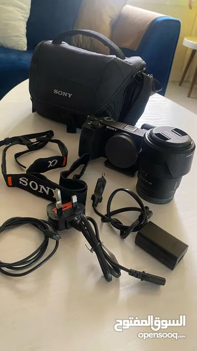 Sony a6600