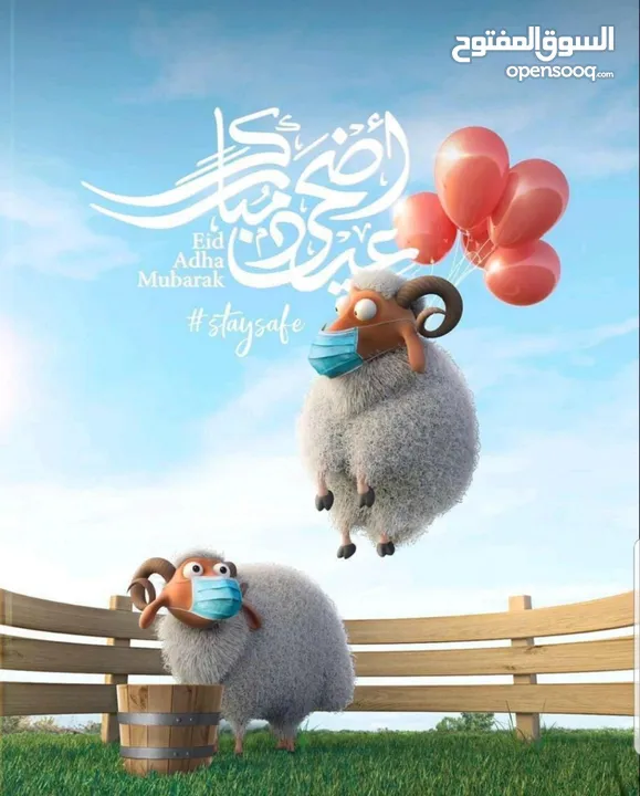لحام وجزار اضاحي