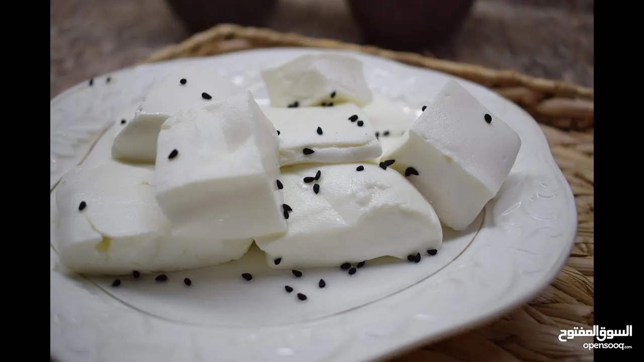 جبنة غنم مغلية