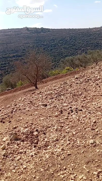 أرض مميزة للبيع