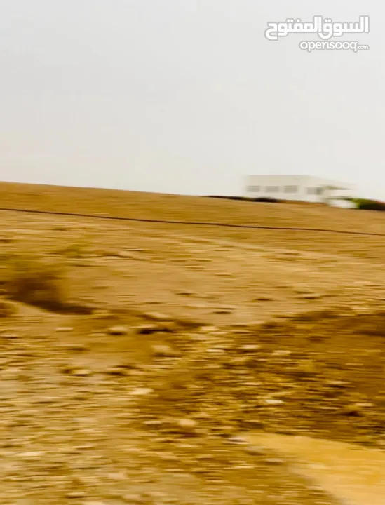 ارض مساحة 1600 متر مربع للبيع تصنيف أ في بلدة العوجا الهادئة الجميلة