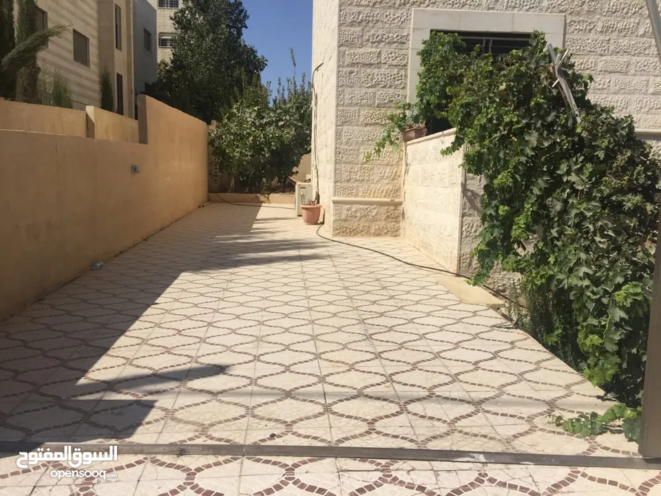 شقة للايجار او البيع