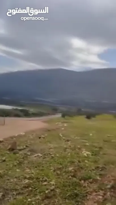 بيع ارض بالنصاريه جيدة وممتازه وقابله للزراعه والسكن
