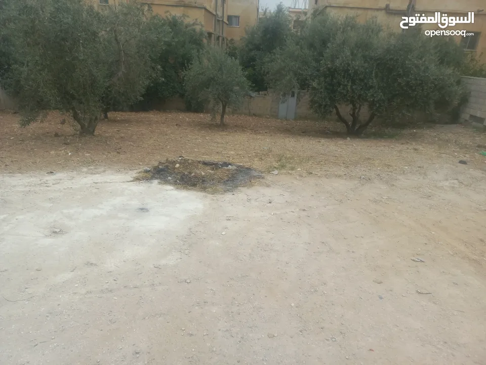 قطعت ارض 220