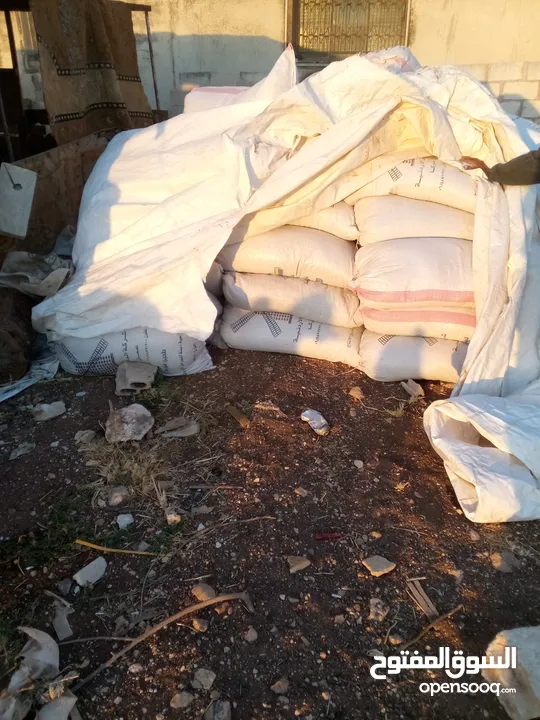 يوجد تبن بيقا للبيع العدد تقريبا 250اشول