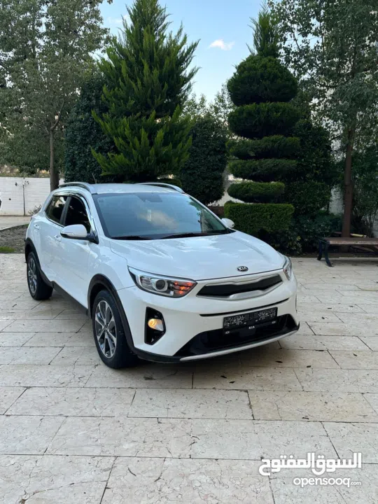 محمد النتشه