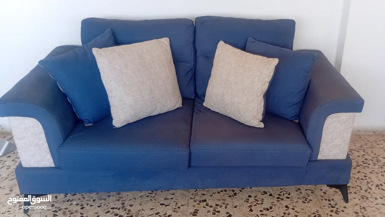 Contemporary furniture looking for a new home. Blue is a relaxing color and compliments most color