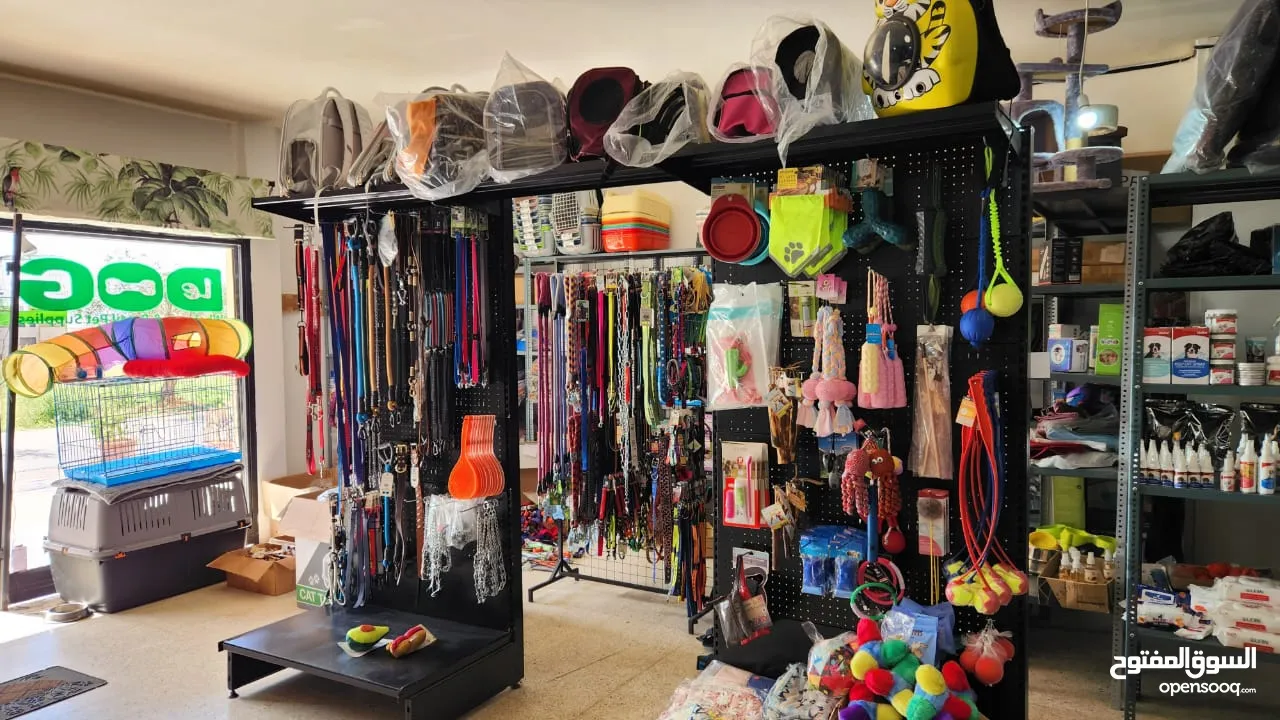 “For Sale: 10-Year Pet Supplies Business in Lebanon – Stable Client Base, High Revenue Potential