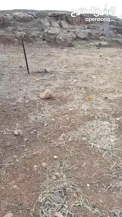 ارض مميزه للبيع