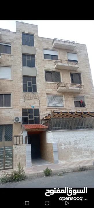 شقة بالياسمين للبيع سعر مغري