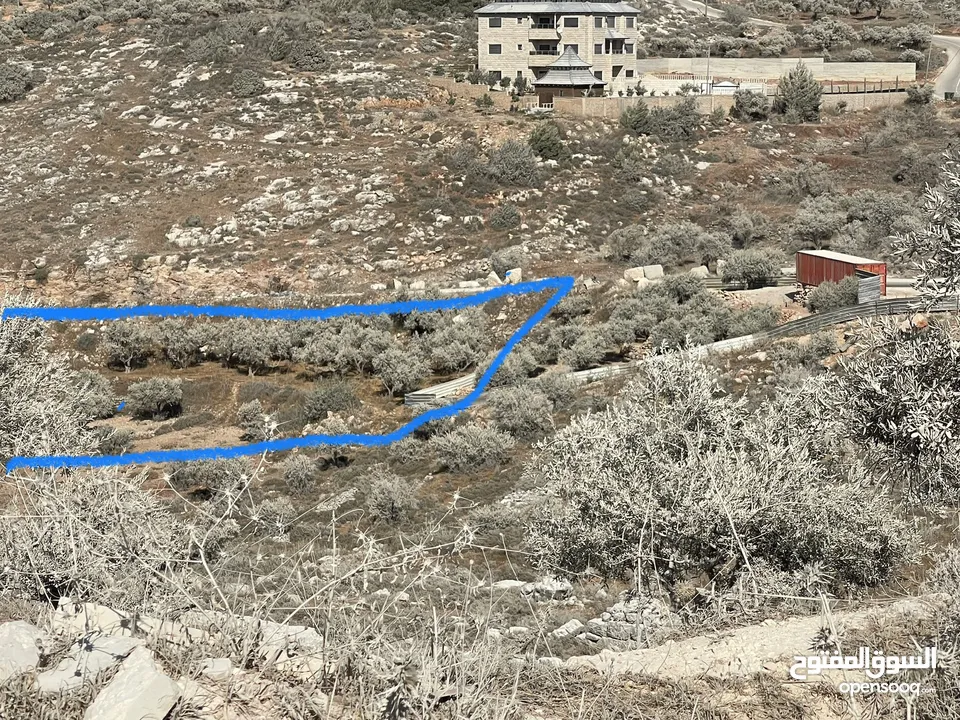 قطعة أرض مميزة للبيع