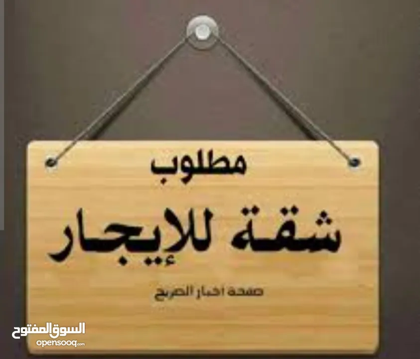 مطلوب شقة للإيجار