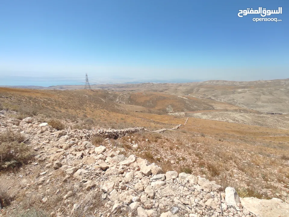 مادبا ماعين قطعة أرض زراعية مميزة مطلة على البحر الميت والضفة الغربية بمساحة 21 دونم