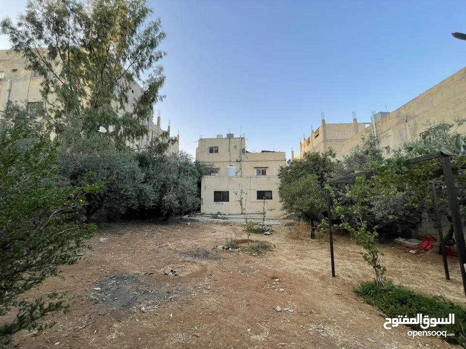 عمارة للبيع في سحاب/العبدلية
