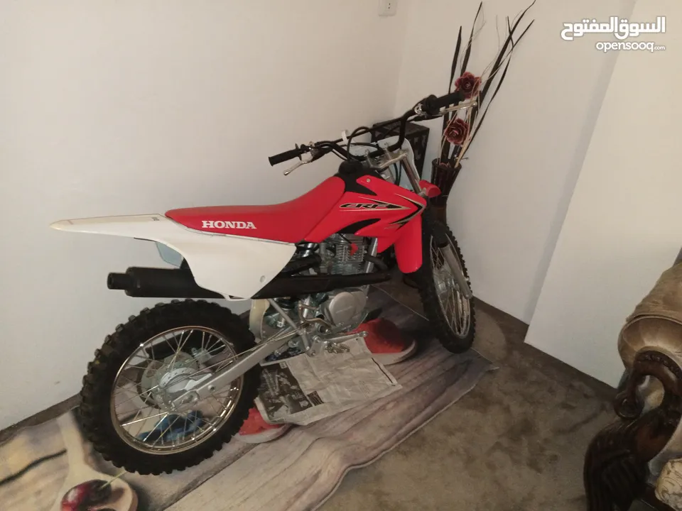 Honda crf 100 cc مرخص بحال الوكاله