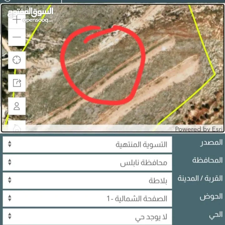 ارض في نابلس . الجبل الشمالي اراضي بلاطة . متصلة بالشارع الدائري حول نابلس