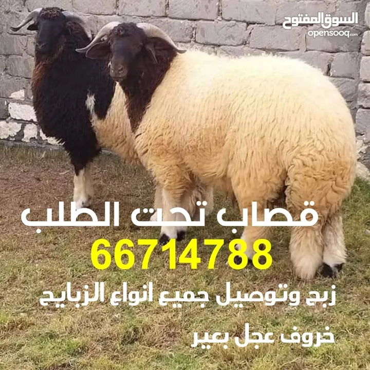 قصاب تحت الطلب