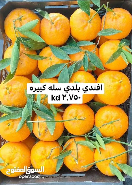 عروض لوجي يوم الخميس والجمعه