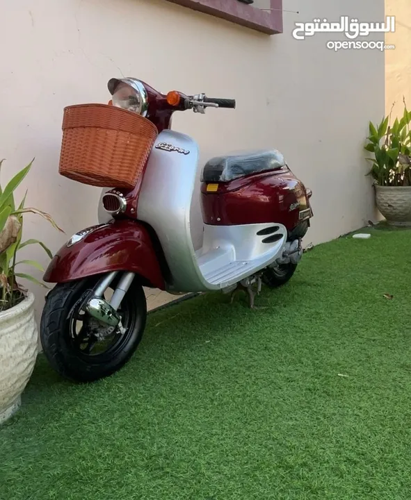 البيع دراجه 60cc