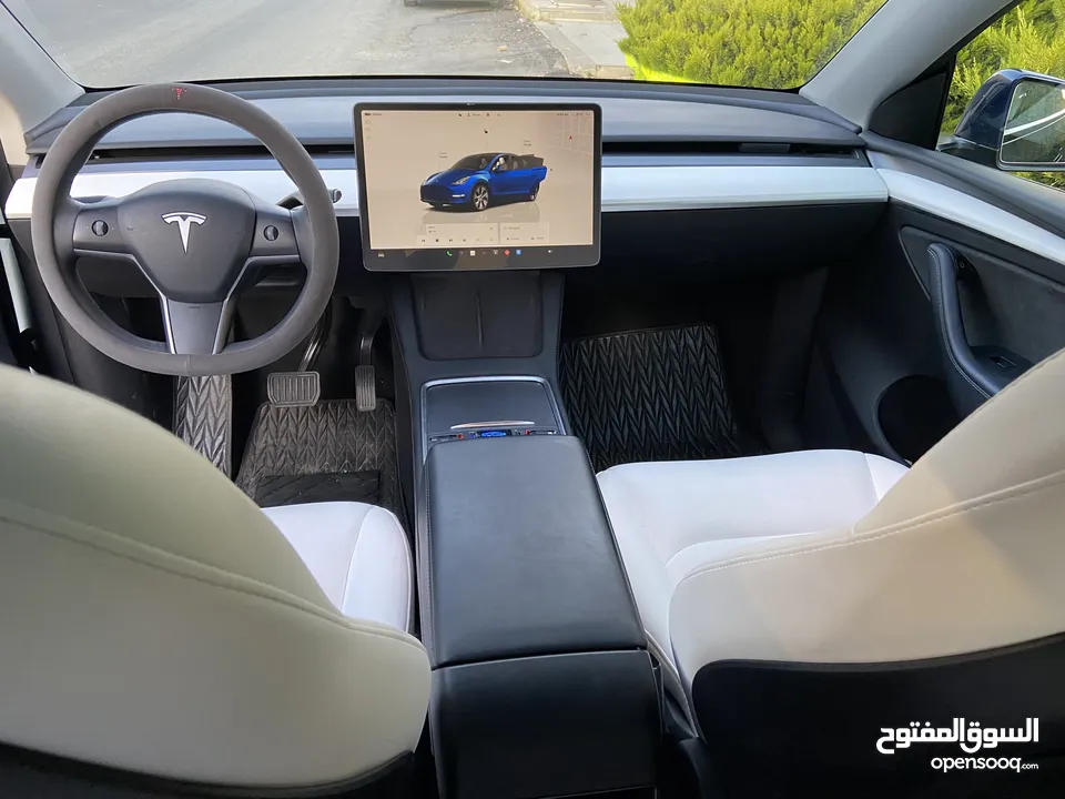 Tesla Model Y Dual Motor