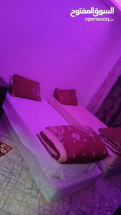شقق مفروشه للايجار