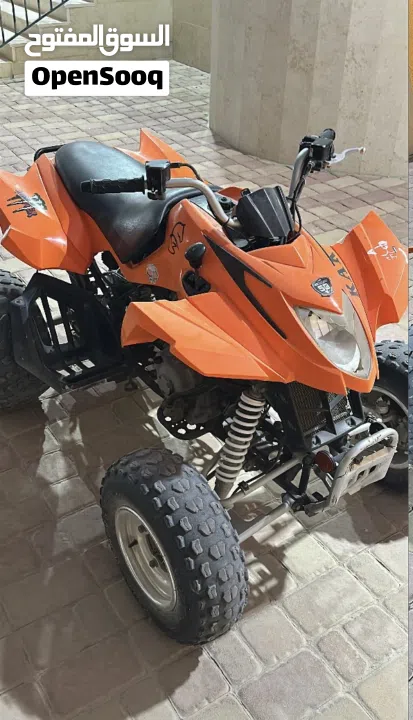 Arctic cat 300cc