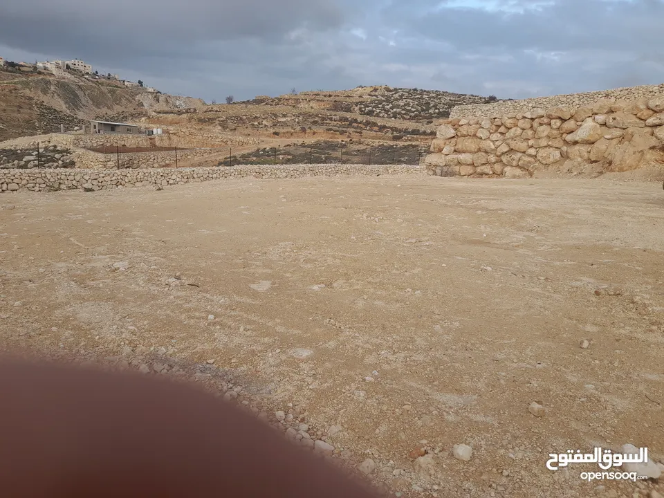 1800م ارض في دورا  كريسة طابو اللف اونصفها