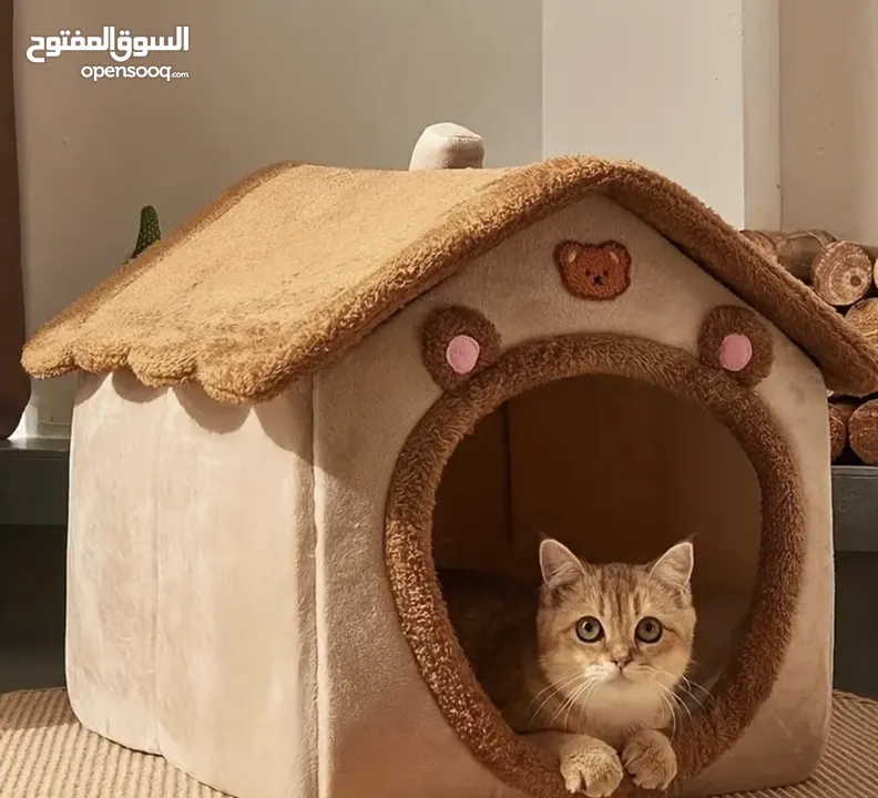 بيت قطط كبير .. Large cat home