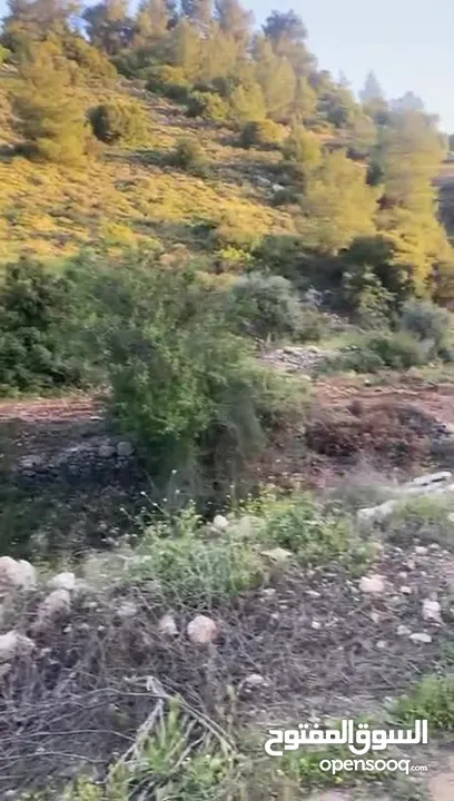 ارض للبيع مخطط طابو كشأن جاهز من مجاميعه سعرها رخيص من المالك نفسه الله يطرح البركه لصاحب النصيب