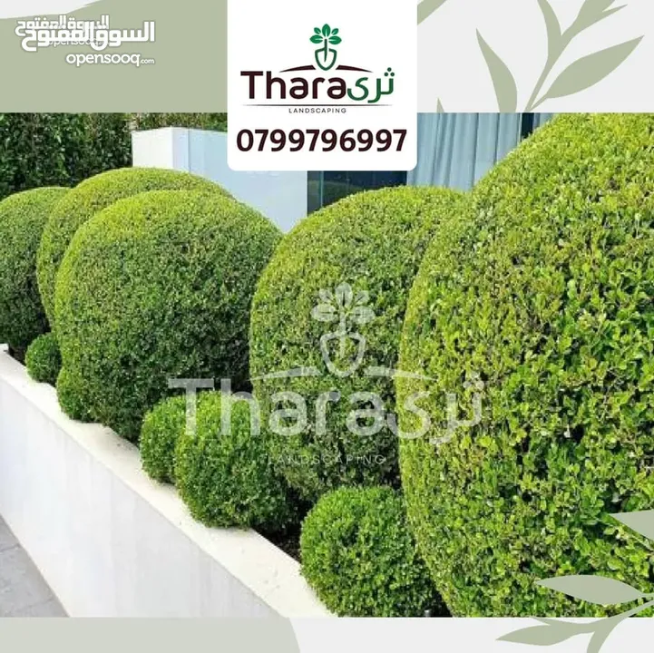 تصميم و تنسيق و صيانة الحدائق و شبكات الري