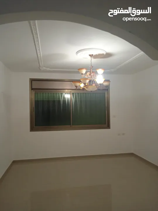 الإيجار .....