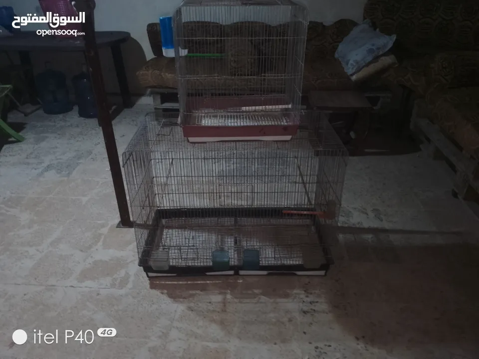 مطير للبيع