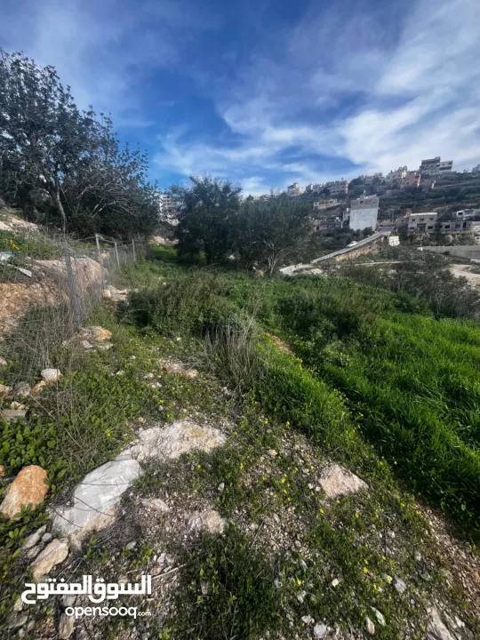 أرض للبيع بإطلالة غربية واصل جميع الخدمات