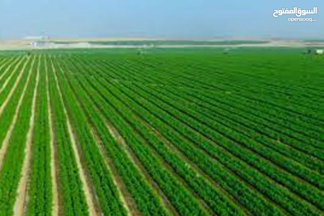 برنامج تعليم وتدريب  ( نخبة التداول والاستثمار ) الاخترافي