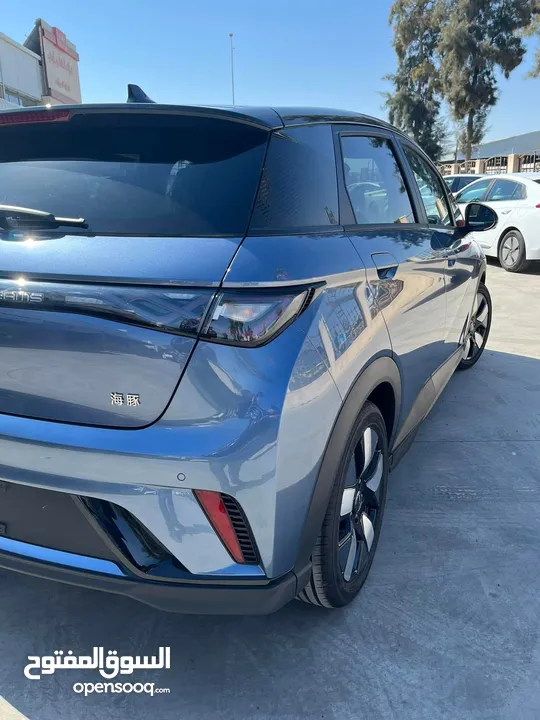 Byd bolphin knight