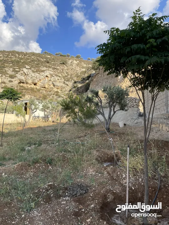 مزرعة في مغاريب السلط من المالك مباشرة