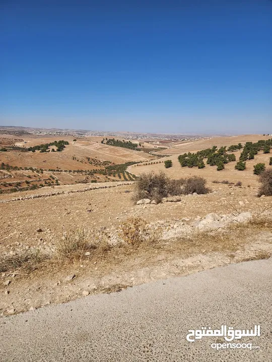 30 دنم جرش قفقفا طريق اربد عمان