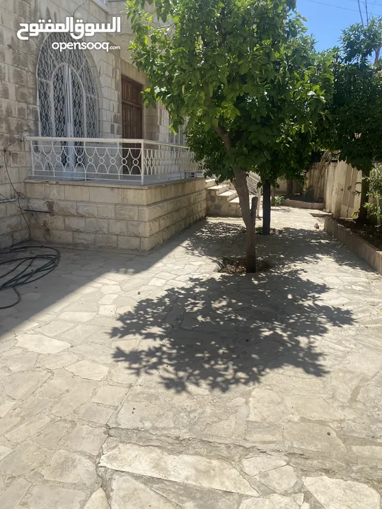 منزل للإيجار استثماري اوسكني