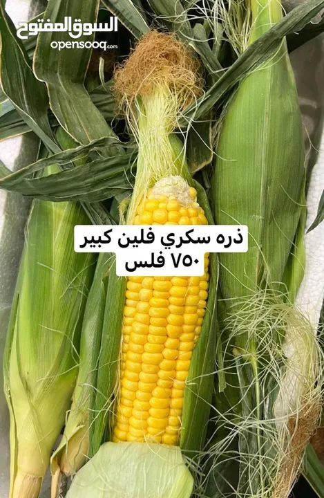 عروض لوجي يوم الخميس والجمعه