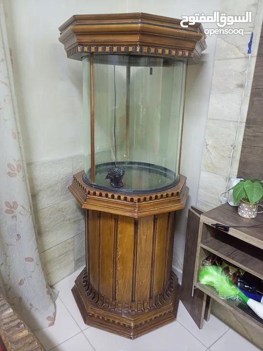 حوض سمك للبيع حجم كبير   160 سم