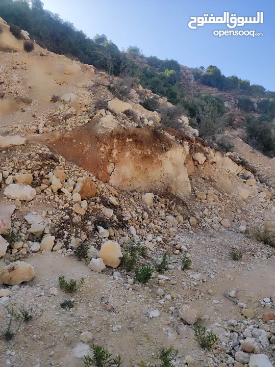 ارض للبيع 1000 متر طابو ابو نجيم