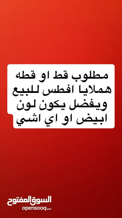 مطلوب ويكون عمرها صغير