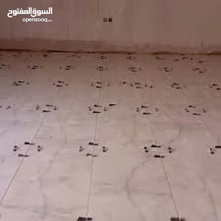 بليط خبره بشتغل بليوميه وبلمترومقاوله
