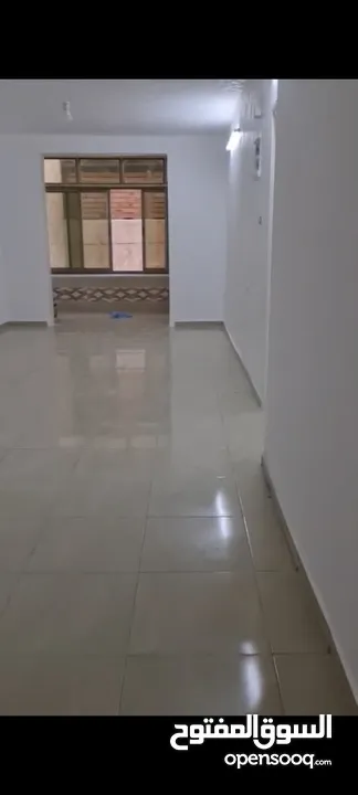حاتم هيرون