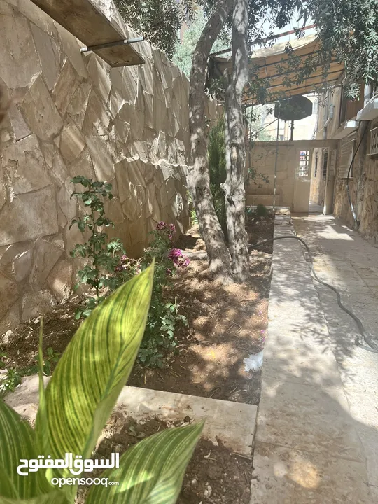 شقة ارضية للبيع