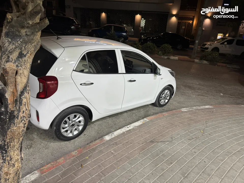 بيكانتو. فلللللل بدون. فتخه. بصمه. فحص نخب بسعررررر حرق حرق