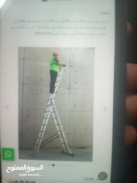 سلم 3بتات للبيع