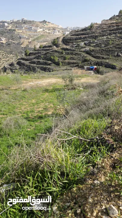 قطعة نص دونم دورا