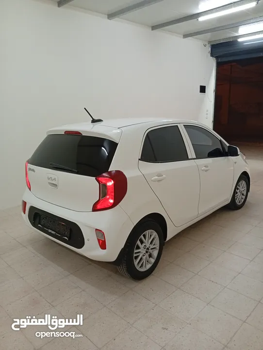 كيا بيكانتو 2022 سعر حرق على الكاش إمكانية البيع نص كاش ونص شكات مع فرق في السعر