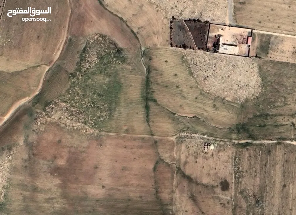 ارض للبيع في اربد مساحة 4400 م قوشان مستقل شرق جسر النعيمة باتجاة طريق الزرقاء الجديدة تنظيم زراعي